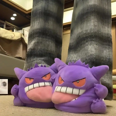 Fuzzy Slippers